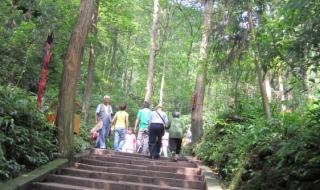 青城山都江堰一日游